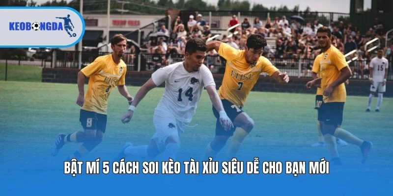 Bật mí 5 cách soi kèo tài xỉu siêu dễ cho bạn mới