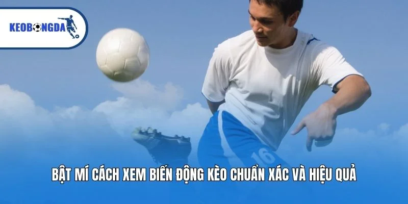 Bật mí cách xem biến động kèo chuẩn xác và hiệu quả