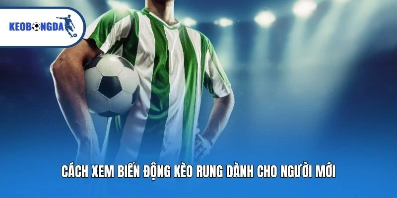 Cách xem biến động kèo rung dành cho người mới