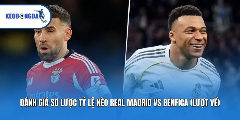 Đánh giá sơ lược tỷ lệ kèo Real Madrid vs Benfica (Lượt về)