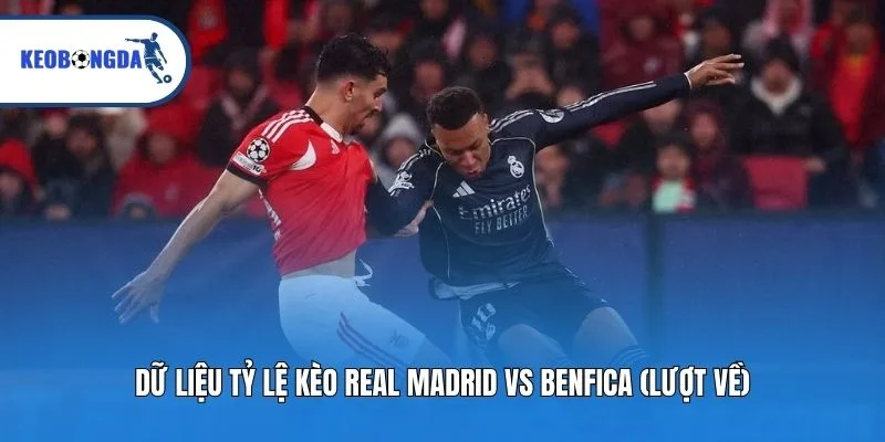 Dữ liệu tỷ lệ kèo Real Madrid vs Benfica (Lượt về)