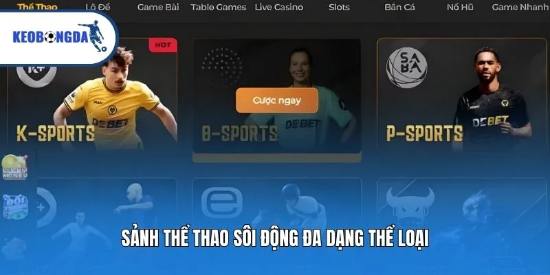 Sảnh thể thao sôi động đa dạng thể loại