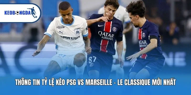 Thông tin tỷ lệ kèo PSG vs Marseille - Le Classique mới nhất
