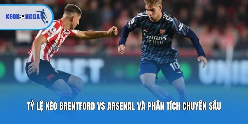 Tỷ lệ kèo Brentford vs Arsenal và phân tích chuyên sâu