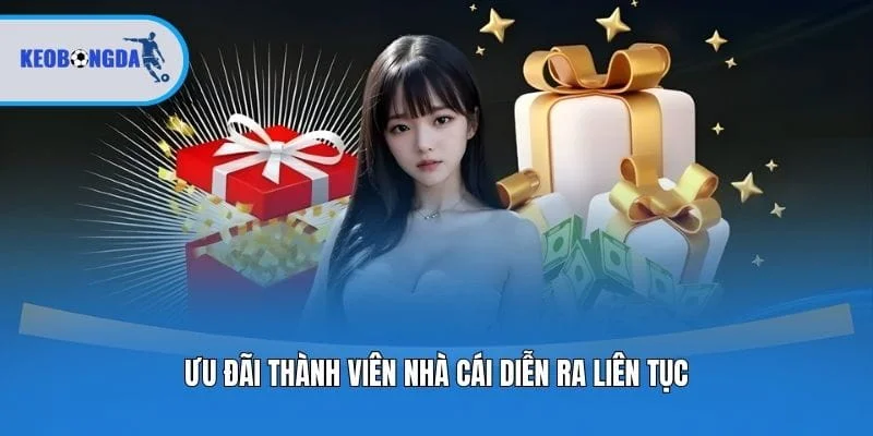 Ưu đãi thành viên nhà cái diễn ra liên tục